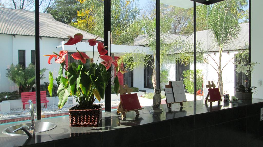 21 Kingfisher Guesthouse Johannesburg Eksteriør billede